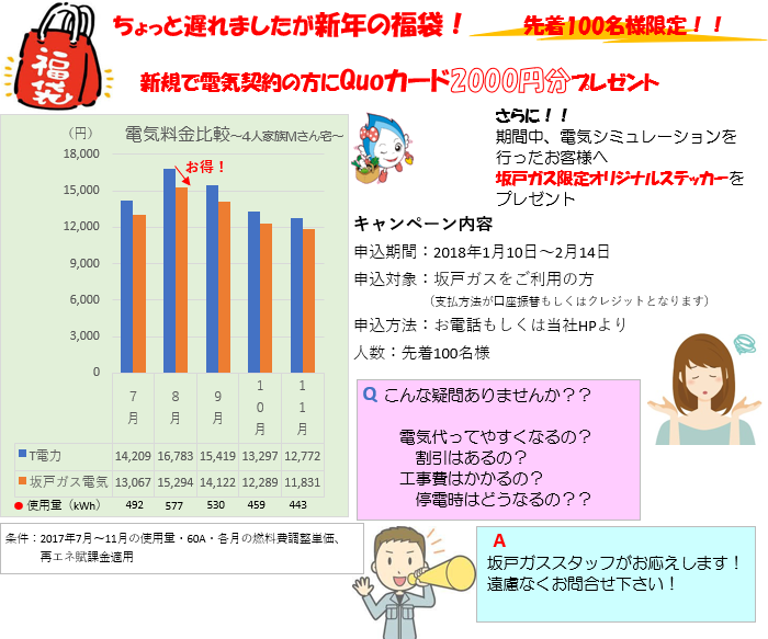 ちょっと遅れましたが新年の福袋！